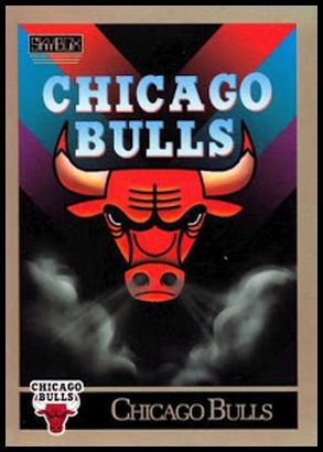 331 Chicago Bulls TC